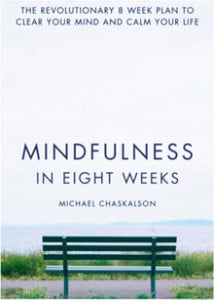 mindfulness_in_eight_weeks-214x300-1 Minimalist book cover